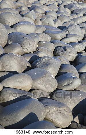 grey rocks on the ground; northumberland, england View Large Photo Image Stock Photo - grey rocks on the ground; northumberland, england. Fotosearch