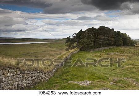 hadrian's wall; northumberland, england View Large Photo Image Stock Image - hadrian's wall; northumberland, england. Fotosearch