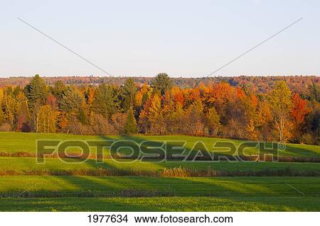 hayfield at sunset; foster quebec canada View Large Photo Image Picture - hayfield at sunset; foster quebec canada. Fotosearch