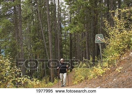 Stock Photography - hiking around kananaskis upper lake in autumn;. Fotosearch