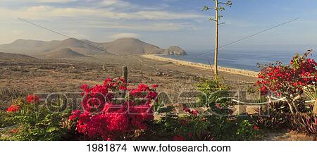 hilltop view near todos santos; baja california sur mexico View Large Photo Image Picture - hilltop view near todos santos; baja california sur mexico. Fotosearch