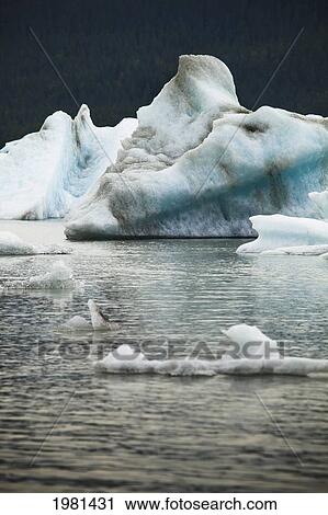 icebergs floating in mendenall bay; juneau alaska united states of america View Large Photo Image Stock Image - icebergs floating in mendenall bay; juneau alaska united states of america. Fotosearch