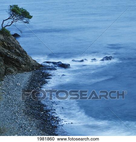 isolated tree on a cliff overlooking a pebble beach along the coast; benalmadena-costa malaga andalusia spain View Large Photo Image Stock Image - isolated tree on a cliff overlooking a pebble beach along the coast; benalmadena-costa malaga andalusia spain. Fotosearch