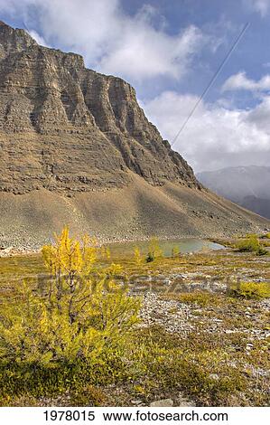 Stock Photography - larch valley; alberta canada. Fotosearch