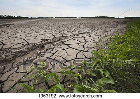 large cracks in the earth from dry ground; manitoba, canada View Large Photo Image Stock Image - large cracks in the earth from dry ground; manitoba, canada. Fotosearch