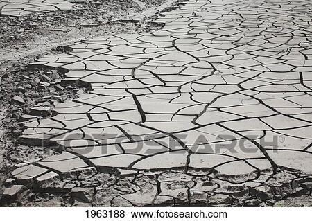 large cracks in the earth from dry ground; manitoba, canada View Large Photo Image Stock Photo - large cracks in the earth from dry ground; manitoba, canada. Fotosearch