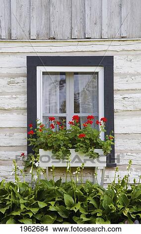 Picture - log home and flower box in the window; iron hill, quebec, canada. Fotosearch