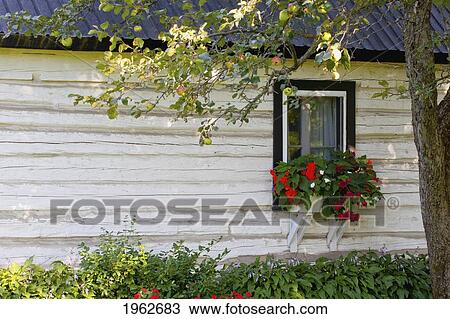 log home and flower box in the window; iron hill, quebec, canada View Large Photo Image Stock Image - log home and flower box in the window; iron hill, quebec, canada. Fotosearch