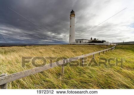 long grass blowing in the wind beside barns ness lighthouse; scottish borders scotland View Large Photo Image Stock Image - long grass blowing in the wind beside barns ness lighthouse; scottish borders scotland. Fotosearch