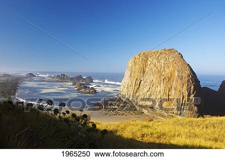 Stock Image - low tide at seal rock state recreation site; oregon united states of america. Fotosearch