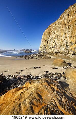 Stock Photo - low tide at seal rock state recreation site; oregon united states of america. Fotosearch