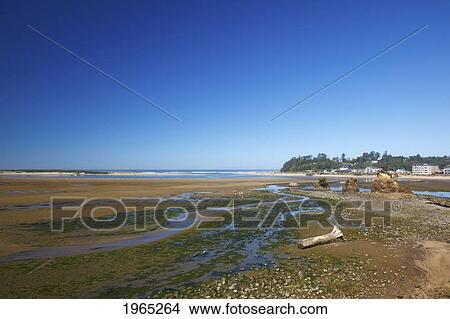 Picture - low tide at siletz bay; siletz oregon united states of america. Fotosearch