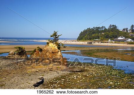 low tide at siletz bay; siletz oregon united states of america View Large Photo Image Stock Image - low tide at siletz bay; siletz oregon united states of america. Fotosearch