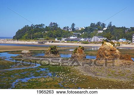 low tide at siletz bay; siletz oregon united states of america View Large Photo Image Stock Image - low tide at siletz bay; siletz oregon united states of america. Fotosearch