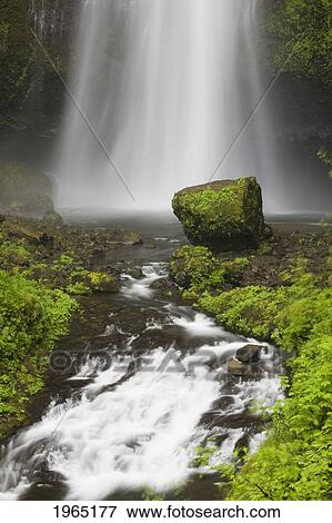 Stock Photo - lower section of multnomah falls with moss covered rock; oregon united states of america. Fotosearch