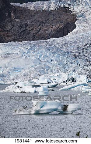 mendenhall glacier flows to sea; juneau alaska united states of america View Large Photo Image Stock Image - mendenhall glacier flows to sea; juneau alaska united states of america. Fotosearch
