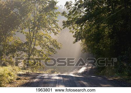 mist and early morning light over a road; ville de lac brome, quebec, canada View Large Photo Image Stock Image - mist and early morning light over a road; ville de lac brome, quebec, canada. Fotosearch