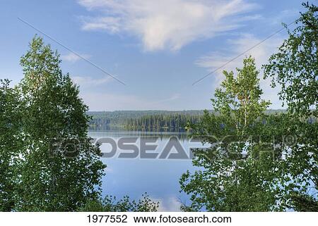 morning on waskesiu lake; saskatchewan canada View Large Photo Image Stock Image - morning on waskesiu lake; saskatchewan canada. Fotosearch