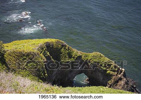 Stock Photograph - moss covered rock formation with an arch along the coast; otter rock oregon united states of america. Fotosearch
