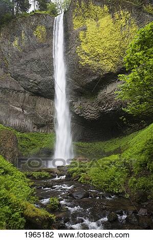 narrow waterfall with moss covered cliffs; oregon united states of america View Large Photo Image Stock Image - narrow waterfall with moss covered cliffs; oregon united states of america. Fotosearch