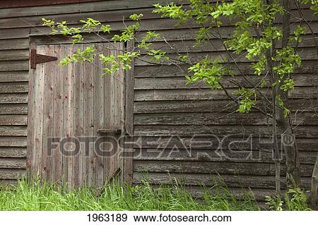 old barn doors with green grass; manitoba, canada View Large Photo Image Stock Photo - old barn doors with green grass; manitoba, canada. Fotosearch