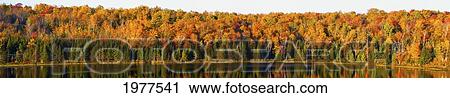panorama of trees along the water's edge in autumn colours; south bolton quebec canada View Large Photo Image Stock Image - panorama of trees along the water's edge in autumn colours; south bolton quebec canada. Fotosearch