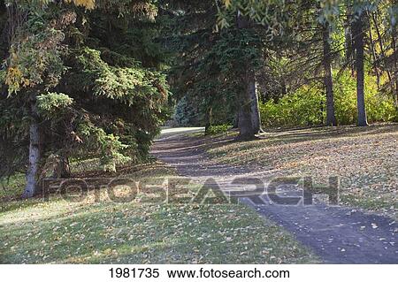 path in a park in autumn; edmonton alberta canada View Large Photo Image Stock Photography - path in a park in autumn; edmonton alberta canada. Fotosearch
