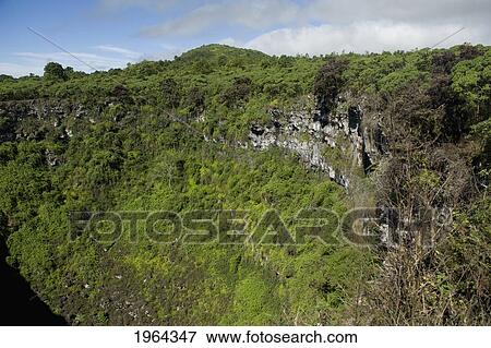 pit craters at los gemelos; santa cruz island, galapagos, equador View Large Photo Image Stock Photo - pit craters at los gemelos; santa cruz island, galapagos, equador. Fotosearch