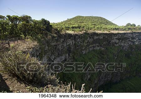 pit craters at los gemelos; santa cruz island, galapagos, equador View Large Photo Image Stock Photo - pit craters at los gemelos; santa cruz island, galapagos, equador. Fotosearch