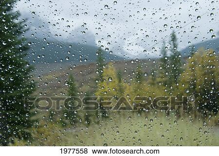 raindrops on a car window; alberta canada View Large Photo Image Stock Photo - raindrops on a car window; alberta canada. Fotosearch