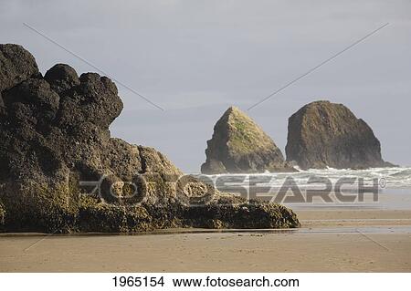 Picture - rock formations in the ocean with waves on the beach; cannon beach oregon united states of america. Fotosearch