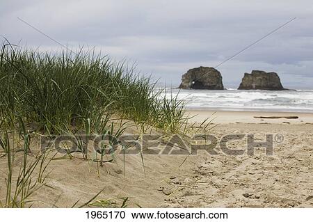 Stock Image - rock formations in the ocean with waves on a grassy beach; rockaway beach oregon united states of america. Fotosearch