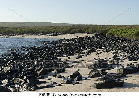 rocks on the beach along the coast; galapagos, equador View Large Photo Image Stock Photo - rocks on the beach along the coast; galapagos, equador. Fotosearch