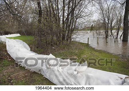 Picture - sand bags line the river's shoreline to prevent further flooding; headingley, manitoba, canada. Fotosearch