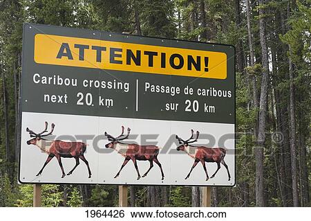 Stock Photograph - sign to warn of caribou (rangifer tarandus) crossing; jasper, alberta, canada. Fotosearch