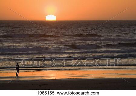 Stock Photography - silhouette of a female on the beach at sunset with the sun setting on the horizon and the light reflecting on the water; newport oregon united states of america. Fotosearch
