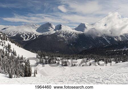 ski tracks in the snow on the coast mountains; whistler, british columbia, canada View Large Photo Image Stock Image - ski tracks in the snow on the coast mountains; whistler, british columbia, canada. Fotosearch