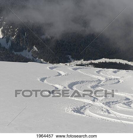 ski tracks in the snow; whistler, british columbia, canada View Large Photo Image Stock Photo - ski tracks in the snow; whistler, british columbia, canada. Fotosearch
