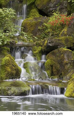 Stock Image - small waterfalls along moss covered rocks; portland oregon united states of america. Fotosearch
