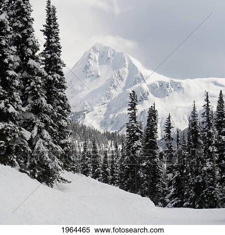 snow covered coast mountains; whistler, british columbia, canada View Large Photo Image Stock Photography - snow covered coast mountains; whistler, british columbia, canada. Fotosearch