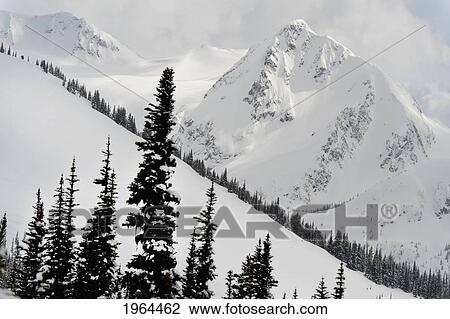 snow on the coast mountains; whistler, british columbia, canada View Large Photo Image Stock Image - snow on the coast mountains; whistler, british columbia, canada. Fotosearch