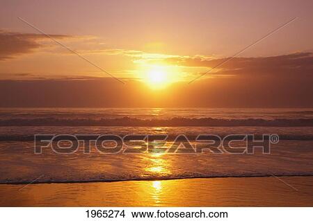 sunset over the pacific ocean along the oregon coast; oregon united states of america View Large Photo Image Picture - sunset over the pacific ocean along the oregon coast; oregon united states of america. Fotosearch