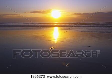 Stock Image - sunset over the pacific ocean along the oregon coast; oregon united states of america. Fotosearch