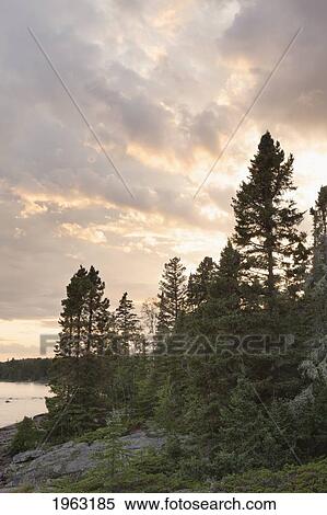 Stock Photography - sunset over the water and forest; thunder bay, ontario, canada. Fotosearch