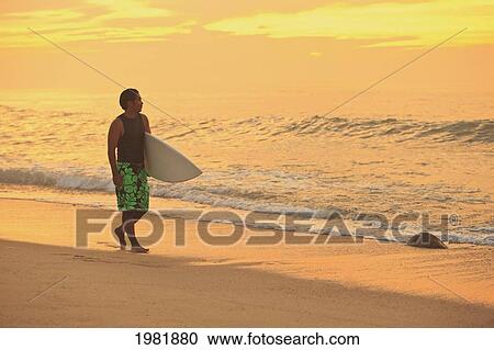 surfer walking down the beach along the water at sunset; baja california sur mexico View Large Photo Image Stock Image - surfer walking down the beach along the water at sunset; baja california sur mexico. Fotosearch