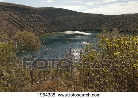 Stock Photography - tagus cove; galapagos, equador. Fotosearch