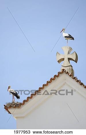 Stock Image - the apex of the roof of the facade of nosso senhora dos aflitos; olhao faro portugal. Fotosearch