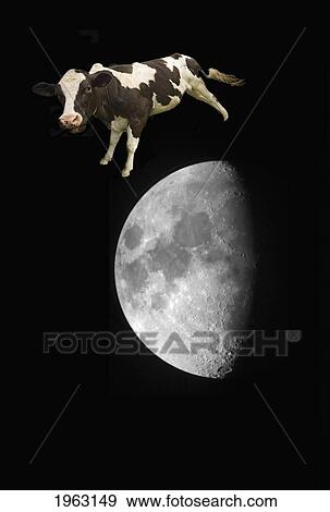 Stock Photo - the cow jumped over the moon; northumberland, england. Fotosearch