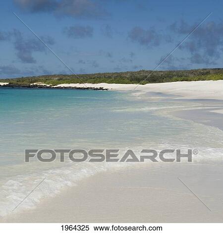 Stock Photography - the scenic coastline with a white sand beach; galapagos, equador. Fotosearch
