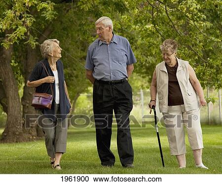 three seniors walking together in a park; edmonton, alberta, canada View Large Photo Image Stock Image - three seniors walking together in a park; edmonton, alberta, canada. Fotosearch